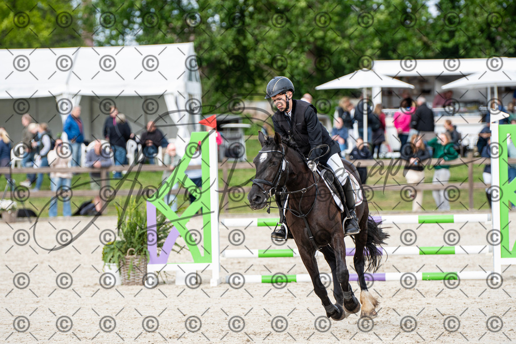 KPT_6631 | andre_photographic