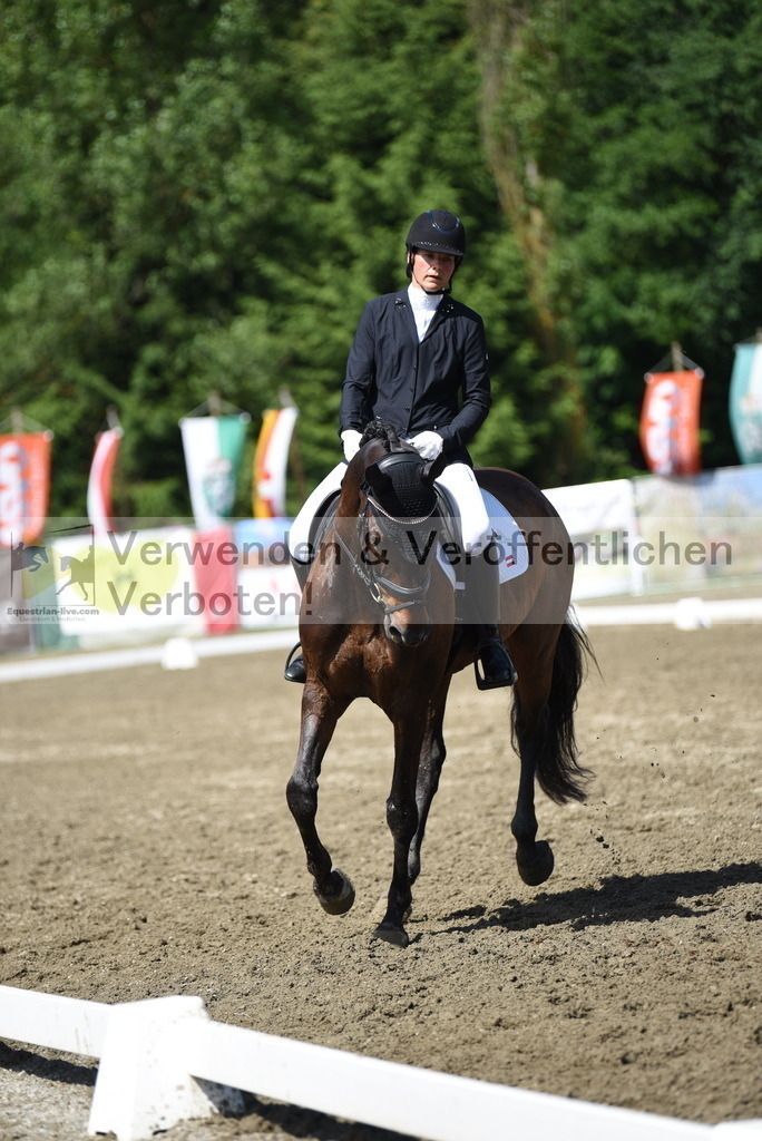 DSC_0117 | equestrian-live-com