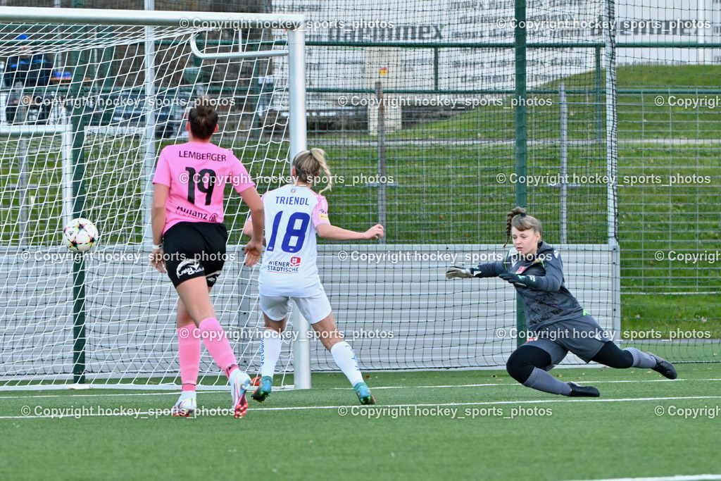 Liwodruck Carinthians Hornets vs. FK Austria Wien Frauen 19.11.2023 | #19 Jana Christina Lemberger, #18 Lena Triendl, #1 Anja Meier