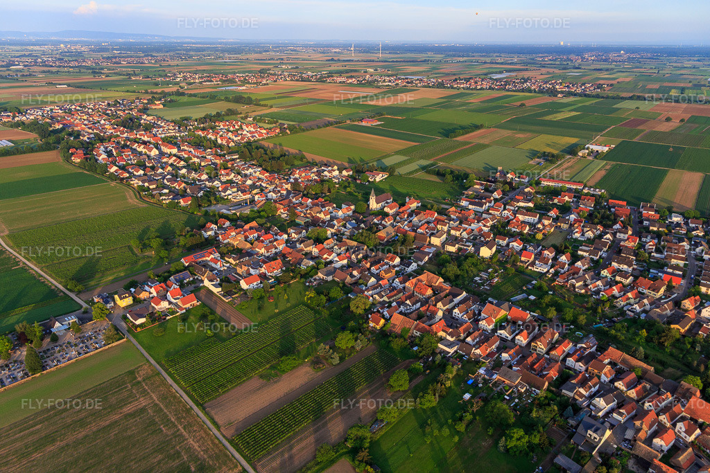 Luftbild: Ortsansicht aus Nordwesten im Ortsteil Rödersheim in Rödersheim-Gronau im Bundesland Rheinland-Pfalz in Deutschland. Foto: IMG_107459.jpg vom 25.05.2018 durch Werner Riehm/FLY-FOTO.de