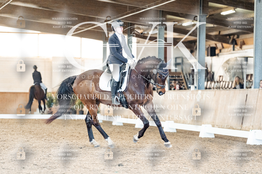 CK908484 | Turnierfotografie Pferdefotografie Trier Rheinland-Pfalz Pferdesport Reitsport Tierfotografie Sportfotografie Pferdevideo Pferdevideografie Equestrianvideography equestrianphotography  - Realisiert mit Pictrs.com