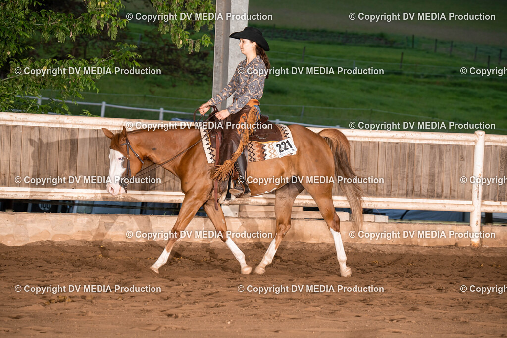 Erbach Tag 1-1197 | dv-media-shop - Realisiert mit Pictrs.com