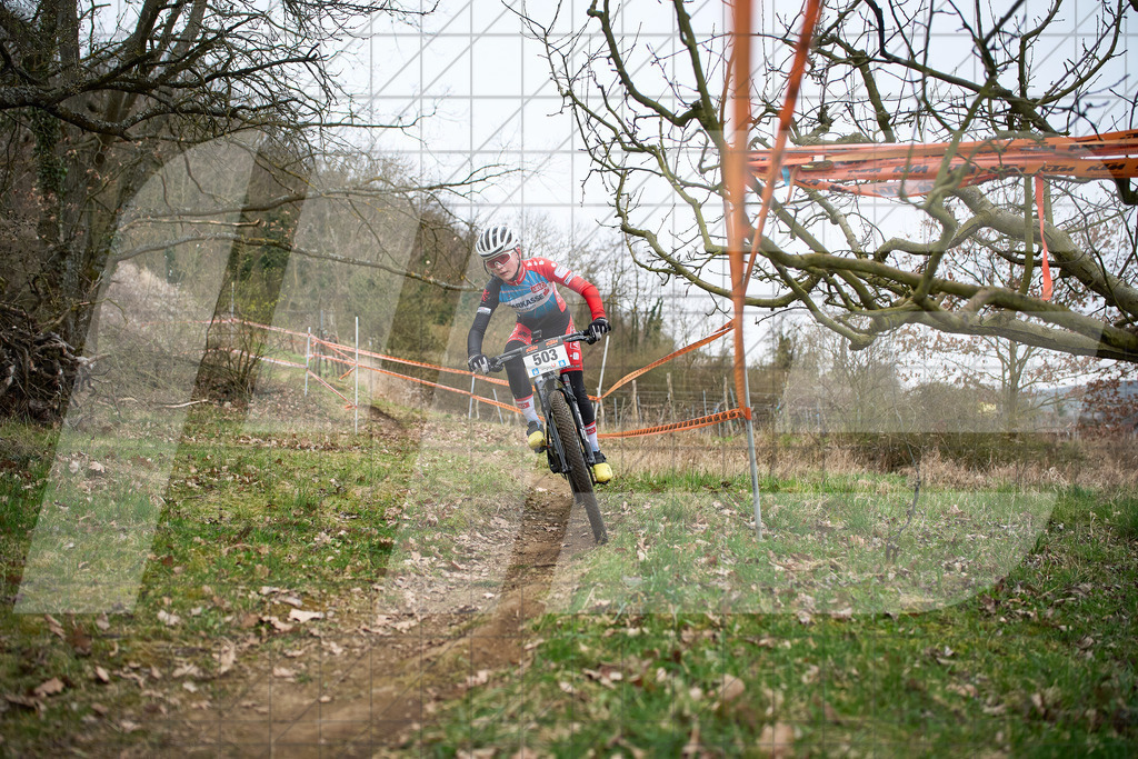 34. KTM Kamptal Trophy  | ZÖBING, Österreich – 2026-03-28: 34. KTM Kamptal TrophyFoto: © 2026 Martin Bihounek - MB Creative e.U.