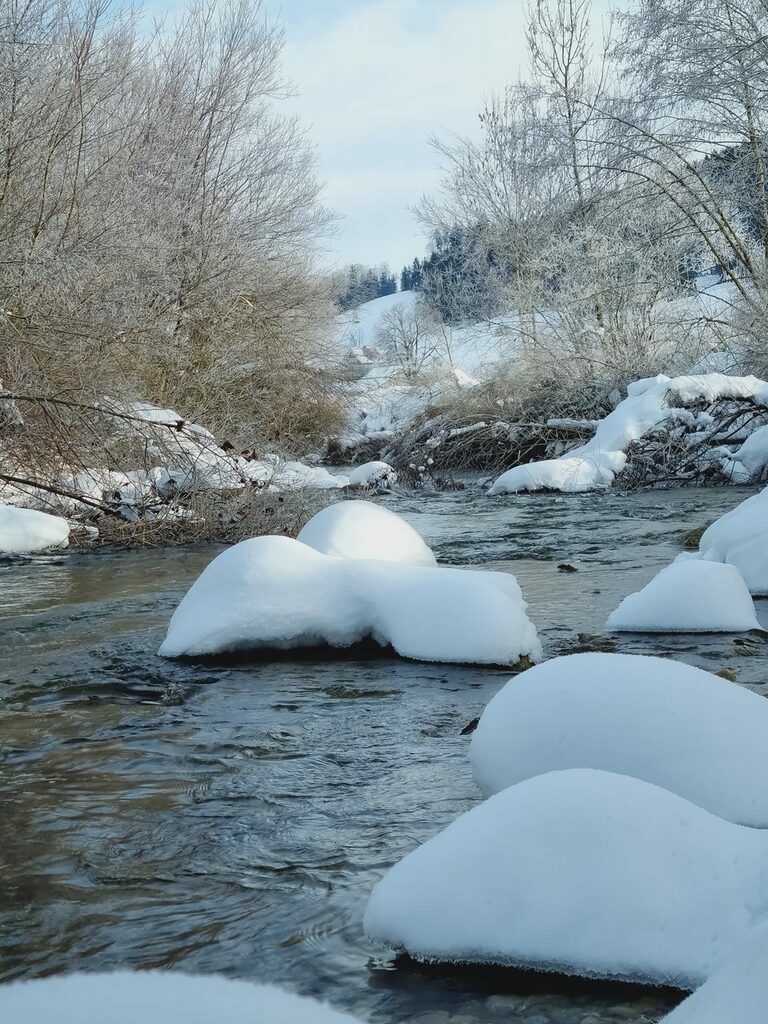 PSX_20211214_190428 | mtkfoto_ - Realisiert mit Pictrs.com