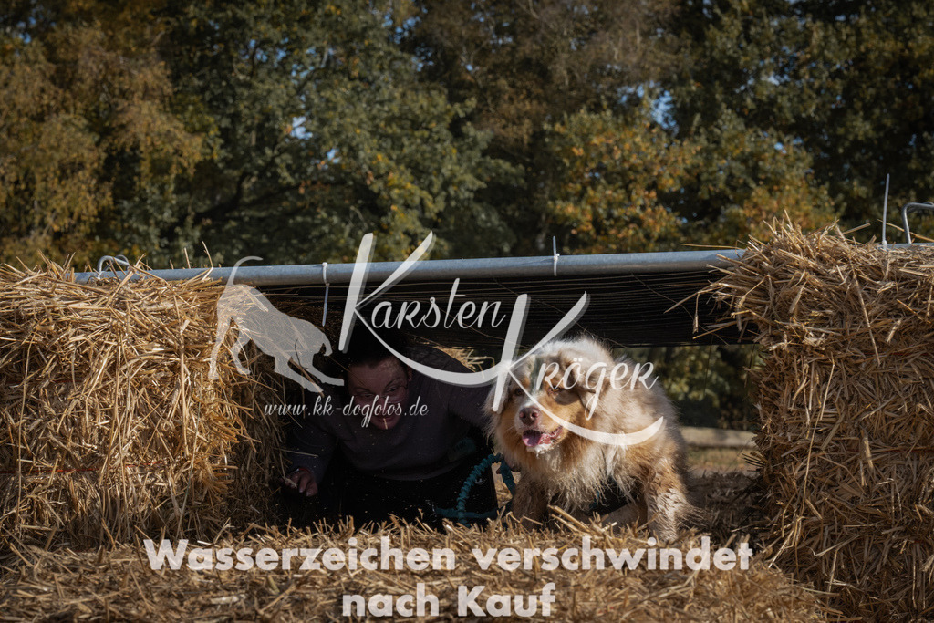 1036_ZZ98939 | kk-dogfotos