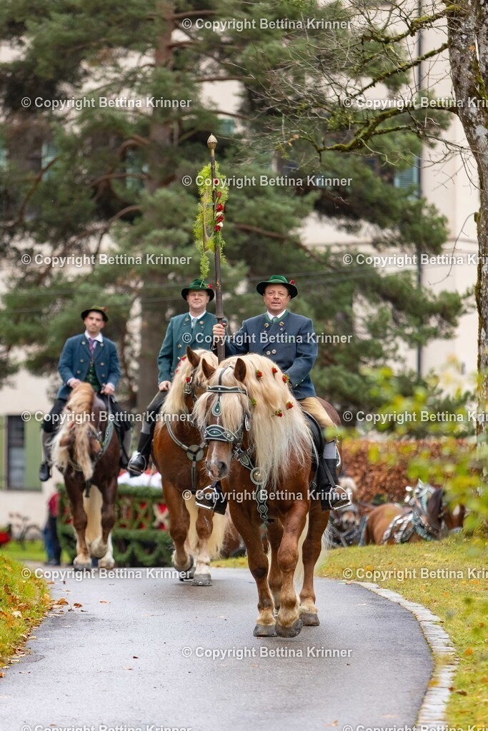 LL25-78 | foto-bettina-krinner - Realisiert mit Pictrs.com