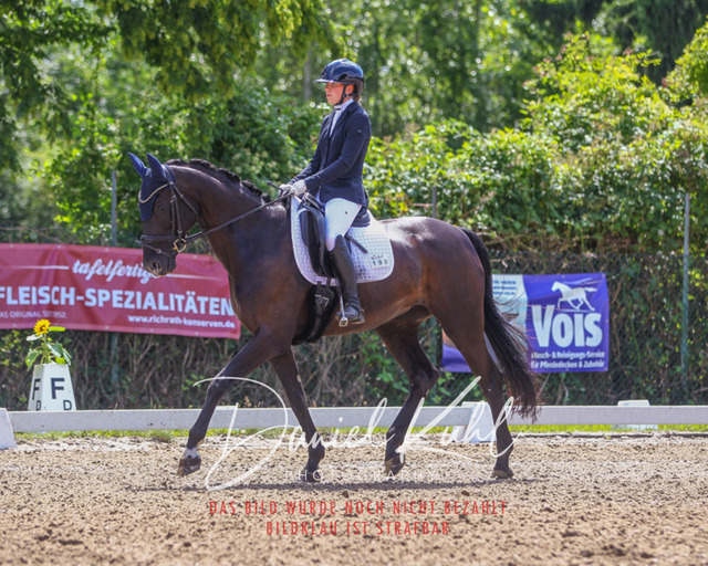 DKP42418 | Turniersportfotografie; Pferdefotografie; Dressurfotografie