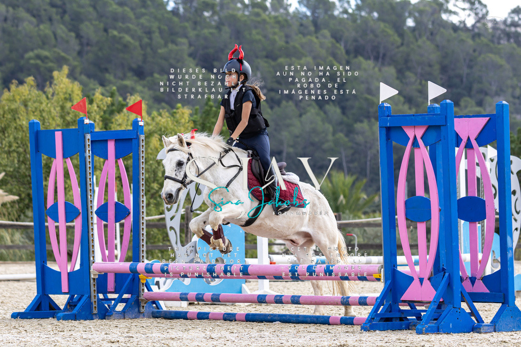 IMG_2265 | s-jay-photography - Realisiert mit Pictrs.com