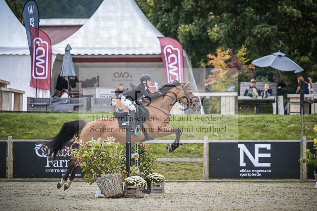 DOS_0281 | Entdecke hochwertige Reitturnierfotos von Foto Oger. Professionell, emotional und authentisch – jetzt Lieblingsmomente im Shop bestellen.Deutschlandweite Turnierfotografie. - Realisiert mit Pictrs.com