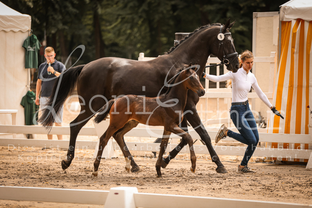 SaPA00134 | Leoni Ertmer Photography - Realisiert mit Pictrs.com