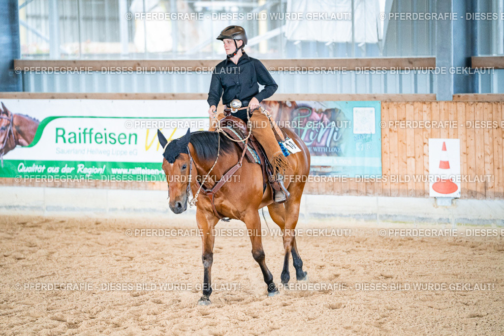 DSC09504 | Pferdegrafie