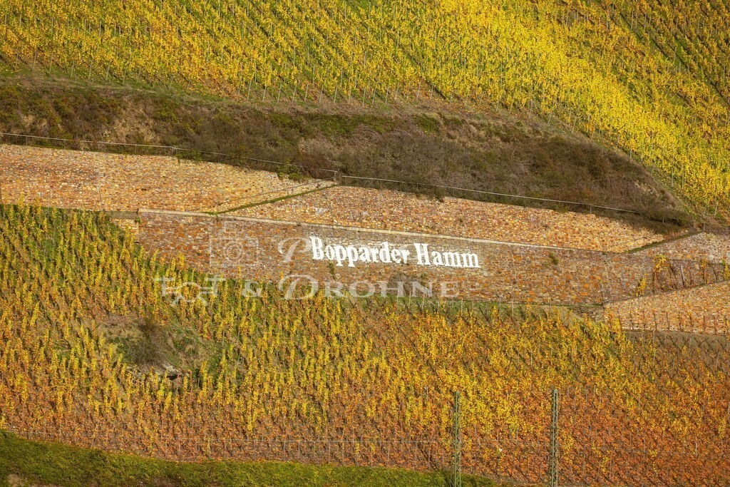 Boppard-4539 | Der Bopparder Hamm bezeichnet die größte Rheinschleife und die gleichnamige Weinlage. - Realisiert mit Pictrs.com