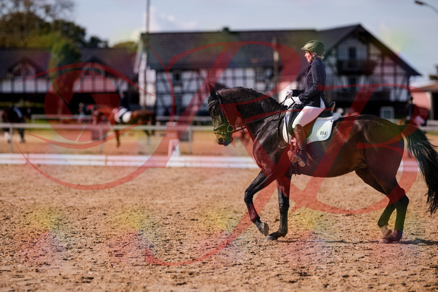 2026_10_03_Siefer-Hof_133852_Z81_97891930 | Professionelle Reitsport-, Turnier- und Eventfotografie von Robert Broda. Galerien mit ausgewählten und bearbeiteten Bildern direkt online ansehen und bestellen.