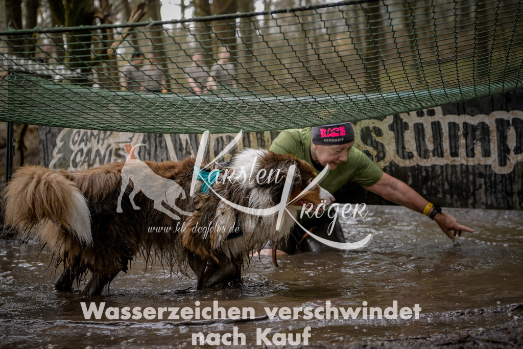 0952_ZZ98535 | kk-dogfotos