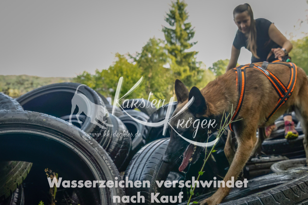 1100_ZZ91139-Bearbeitet-2 | kk-dogfotos
