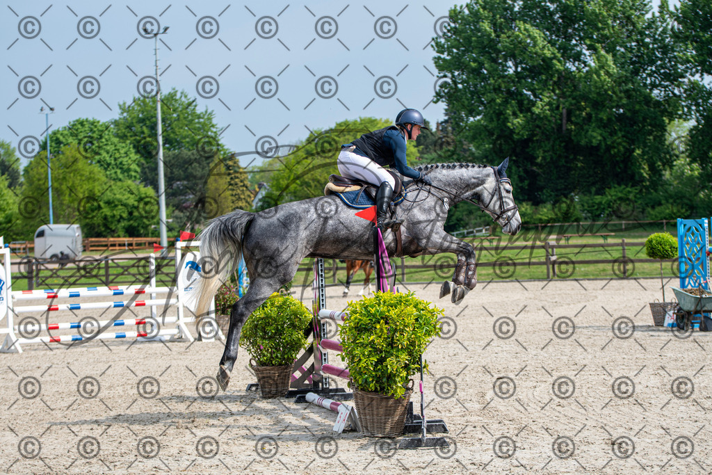 KPT_2479 | andre_photographic