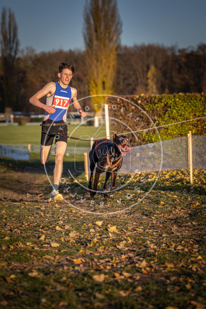 CaniXpix_DV3A4867 | Hundefotografie, Tierfotograf, Pfotenfotografie, Fotoshooting Hund, Hunde Portrait, Hundesport, Hundeportraits, Heideshooting, Hunde, Sportfotograf, Hundefotograf, Turnierhundsport, THS,  - Realisiert mit Pictrs.com