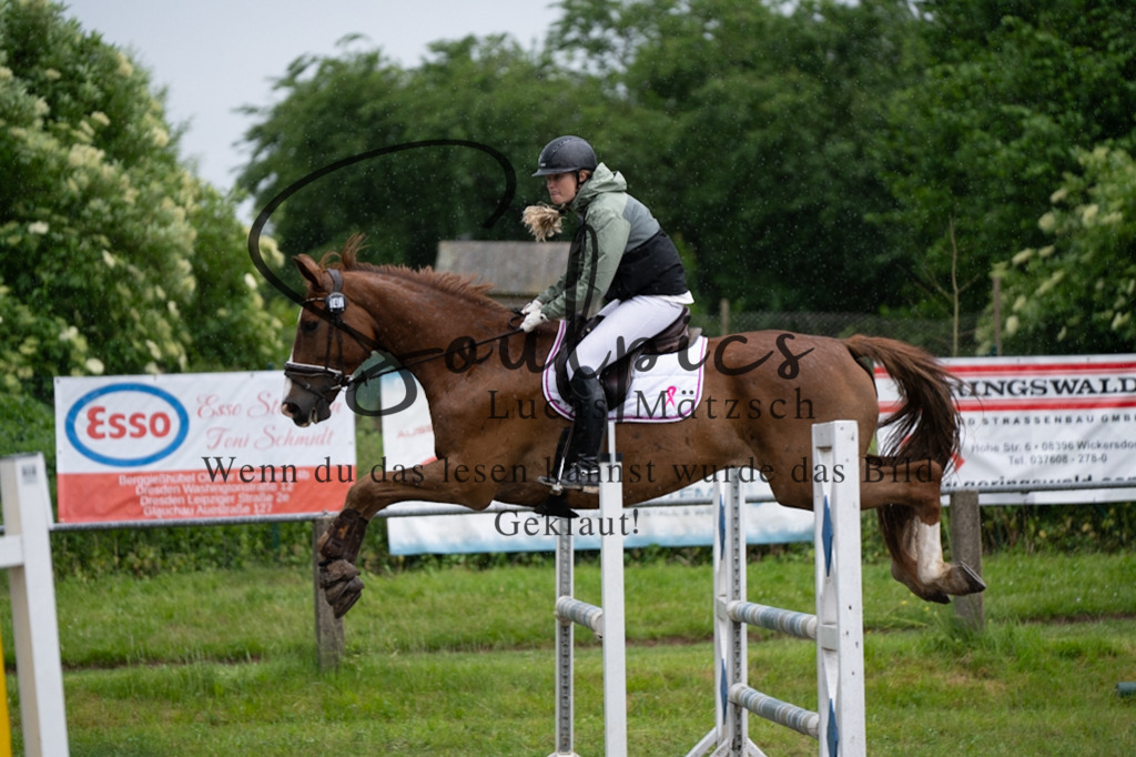 A7V05031 | Pferdefotograf