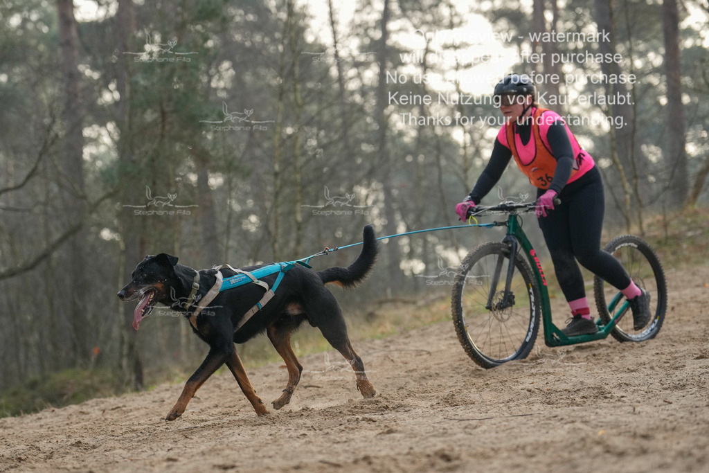 Scooter1-200 | stephaniefillaphotographie - Realisiert mit Pictrs.com