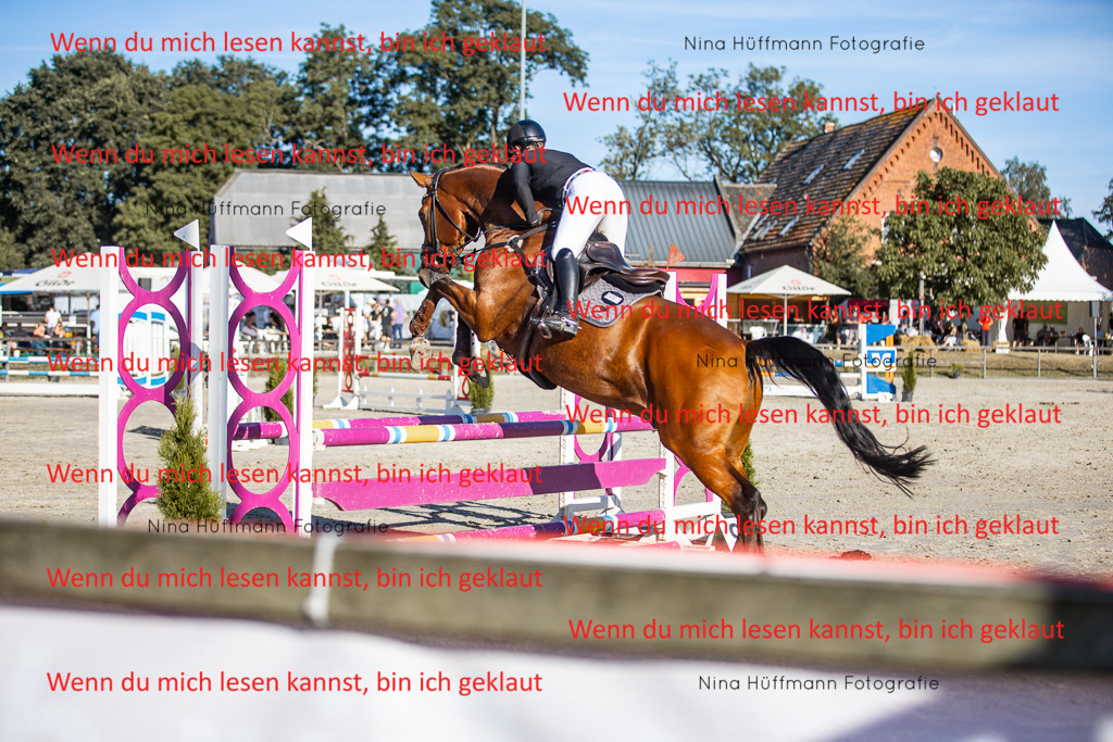 BK1A7743 | Turnierbilder Turnierfotos Nina Hüffmann Turnierfotografie Pferdefotografie Tierzeichnung Haustierzeichnung Pferdezeichnung Hundezeichnung Videograf  - Realisiert mit Pictrs.com