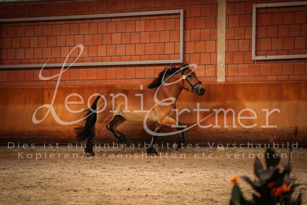 SaFL00295 | Leoni Ertmer Photography - Realisiert mit Pictrs.com