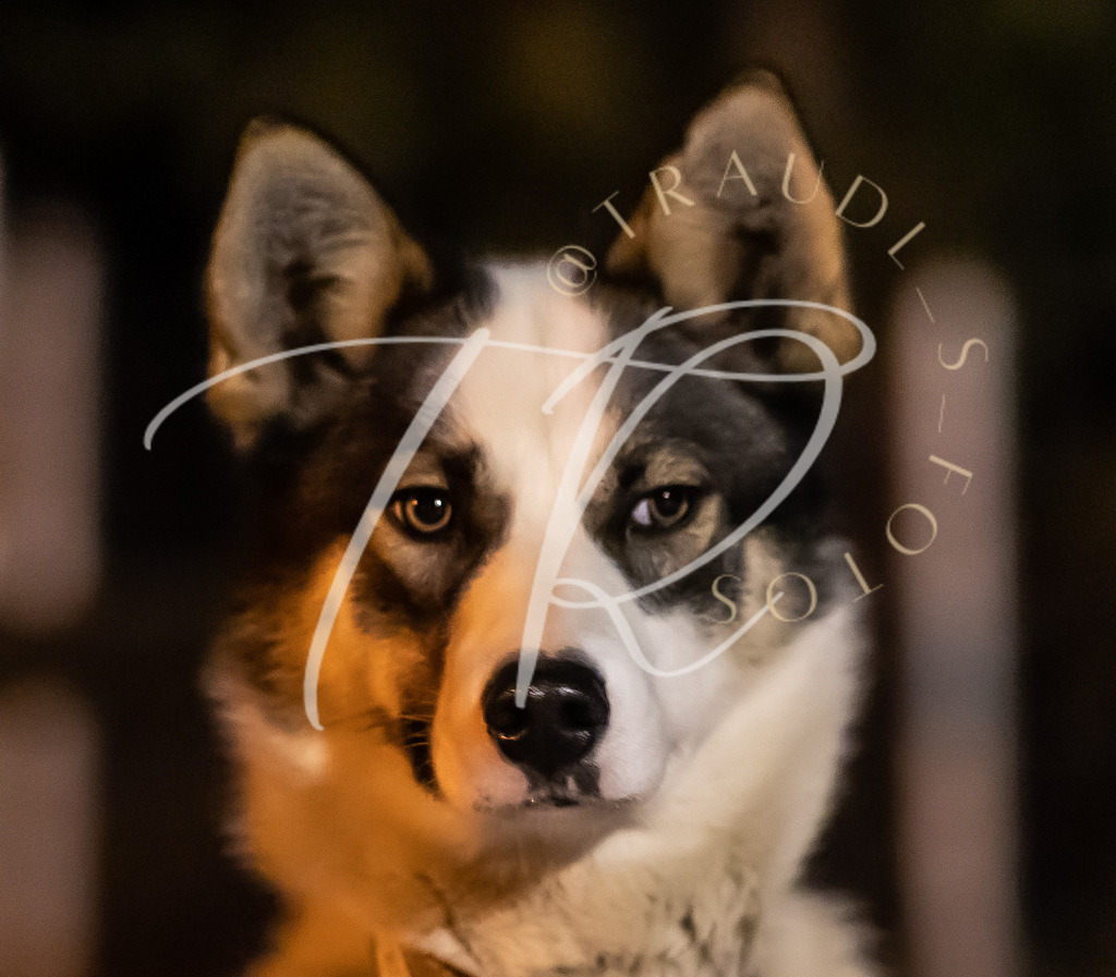 E62F6F79-9156-4EF2-A9AD-7A83CBC07462 | traudl_s_fotos