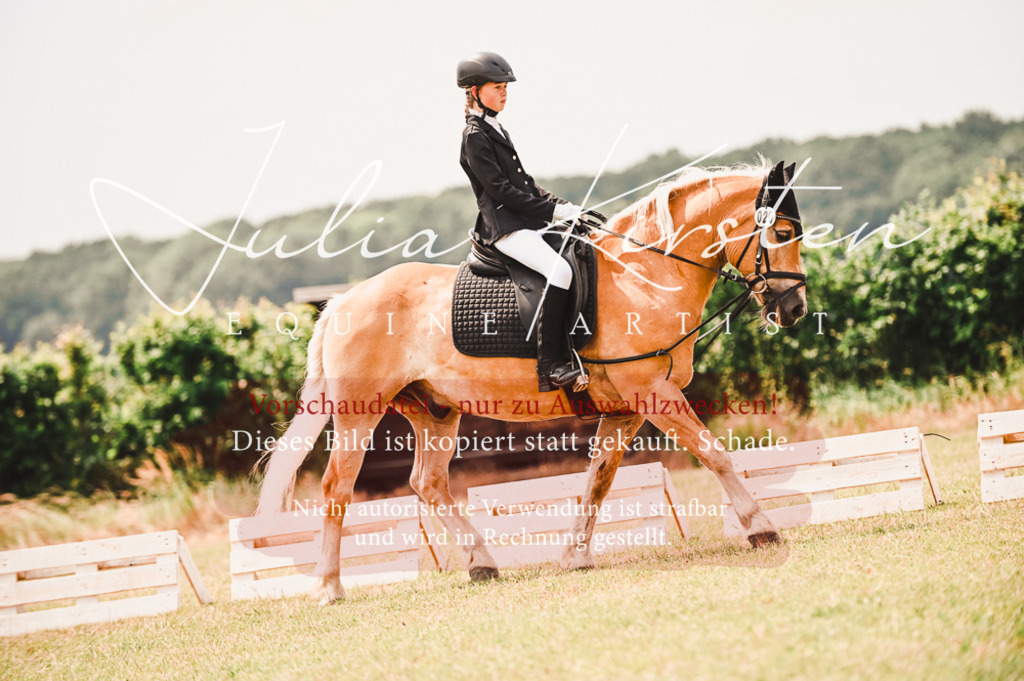 DSC_6254 | Pferde- und Turnierfotografie in Westsachsen. Pferdeportraits, Auftragszeichnungen und intuitive Kunst.