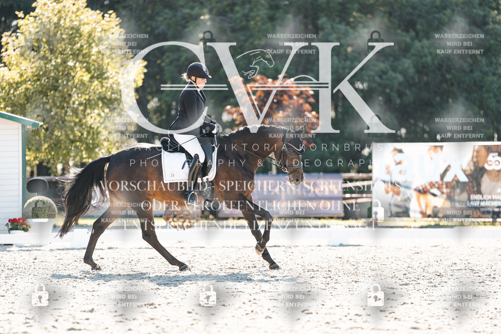 CK906407 | Turnierfotografie Pferdefotografie Trier Rheinland-Pfalz Pferdesport Reitsport Tierfotografie Sportfotografie Pferdevideo Pferdevideografie Equestrianvideography equestrianphotography  - Realisiert mit Pictrs.com