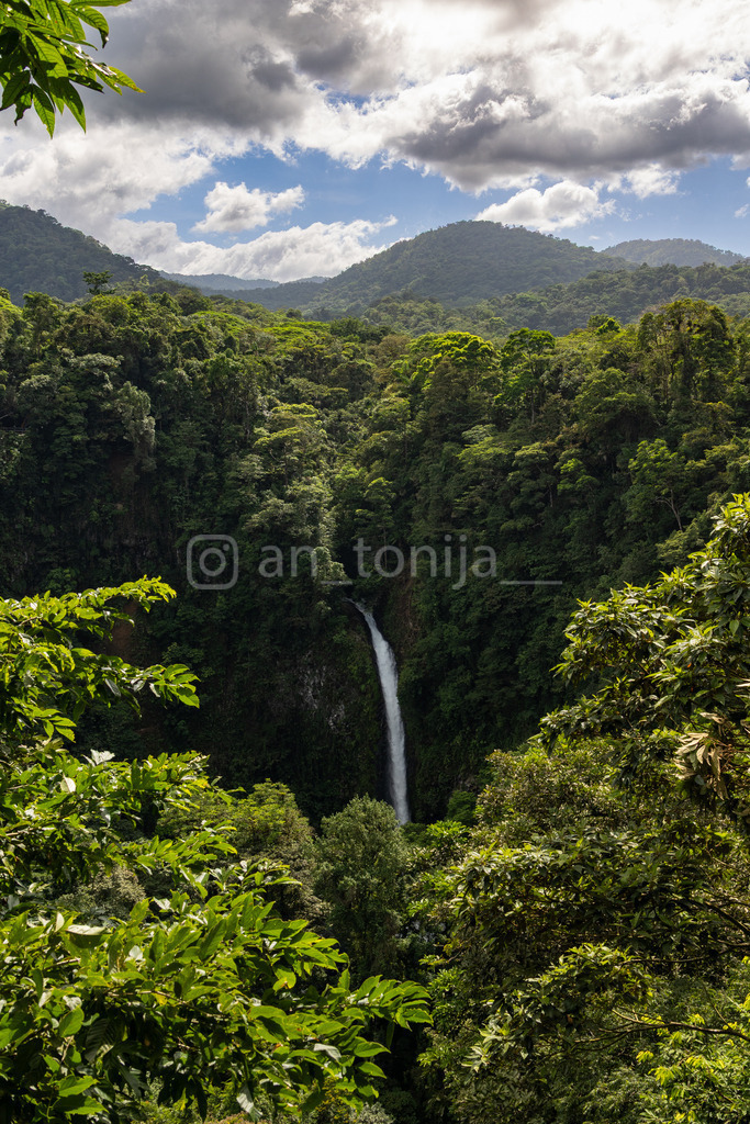 JB3A0714 | antonija-trupina - Realisiert mit Pictrs.com