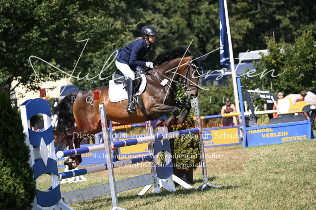 DSC_0409 | Pferde- und Turnierfotografie in Westsachsen. Pferdeportraits, Auftragszeichnungen und intuitive Kunst.