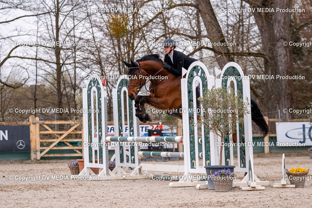 Kranichstein Tag 2-039 | dv-media-shop - Realisiert mit Pictrs.com