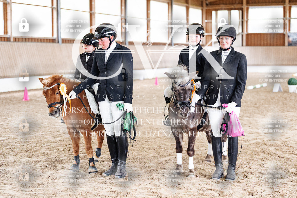 CK902377 | Turnierfotografie Pferdefotografie Trier Rheinland-Pfalz Pferdesport Reitsport Tierfotografie Sportfotografie Pferdevideo Pferdevideografie Equestrianvideography equestrianphotography  - Realized with Pictrs.com