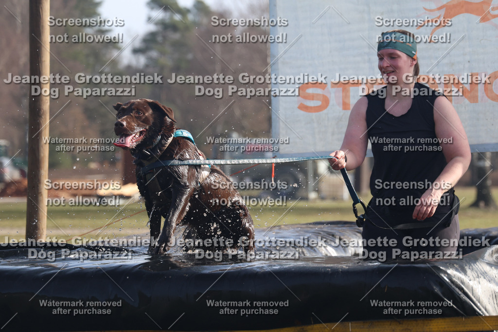 Dog Paparazzi - Strongdog North Mrz26-691 | Dog Paparazzi Jeanette Grottendiek Fotografie & Videografie - Realisiert mit Pictrs.com