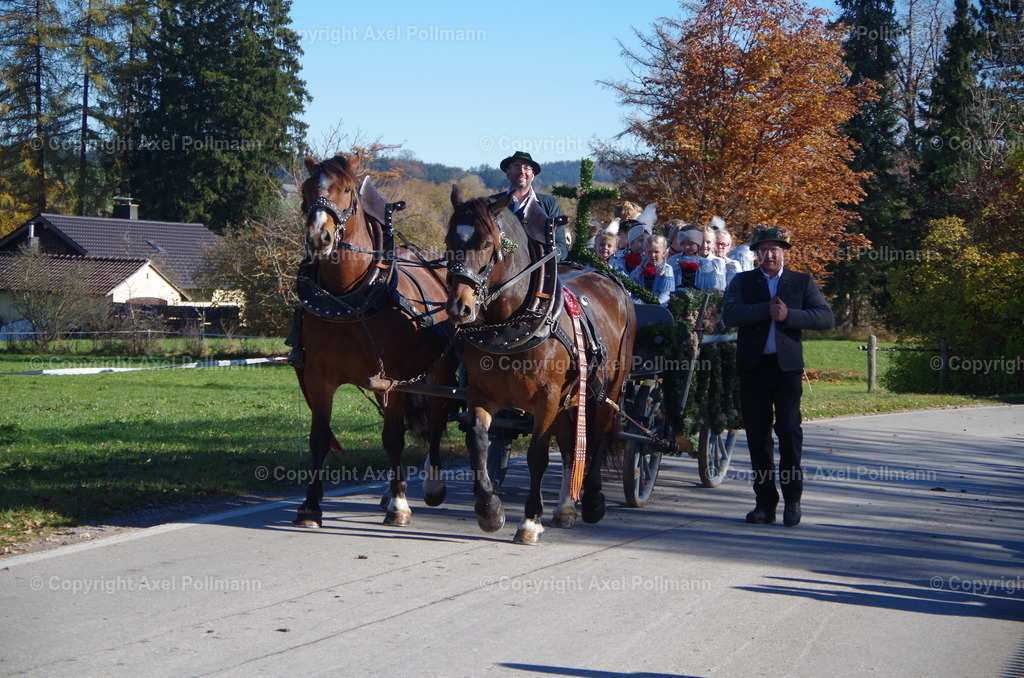 IMGP7899 | fotografiert von Axel PollmannLeonhardi Wallfahrt Benediktbeuern und Murnau, Fronleichnam, Fasching, Landschaft im Loisachtal und Benediktbeuern  - Realisiert mit Pictrs.com