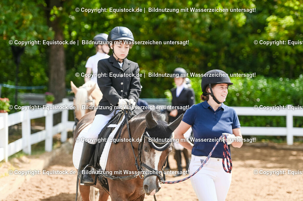 20230716_11_Führzügel-WB_0007 | equistock