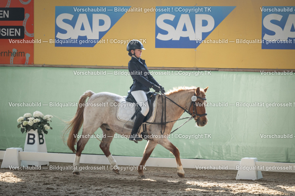 _D5A8755 | Emotionale Pferde- & People-Fotografie rund um Heidelberg, Leimen & Umgebung. Natürliche Fotos von Pferd, Mensch & Familie. Jetzt Termin sichern!