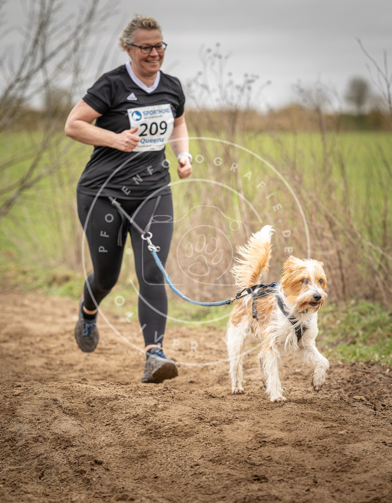DV3A2635 | Hundefotografie, Tierfotograf, Pfotenfotografie, Fotoshooting Hund, Hunde Portrait, Hundesport, Hundeportraits, Heideshooting, Hunde, Sportfotograf, Hundefotograf, Turnierhundsport, THS,  - Realisiert mit Pictrs.com