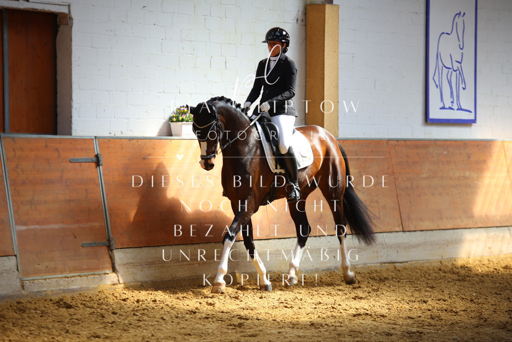 IMGT7412 | pl-fotografie