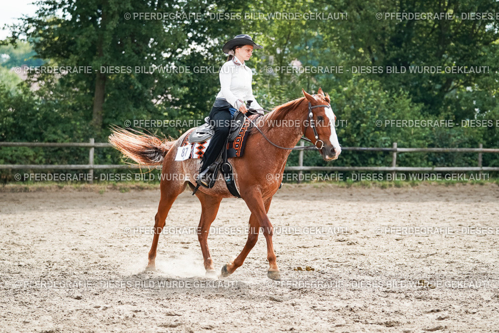 DSC04439 | Pferdegrafie