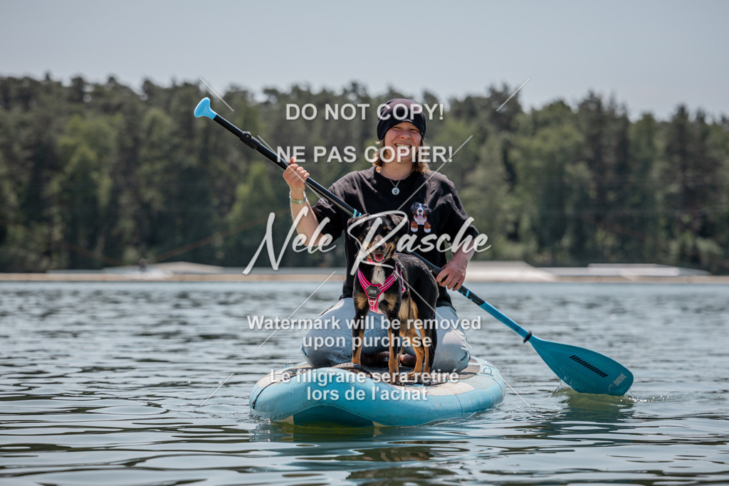 nelerasche_saSUP1_38 | nelerasche