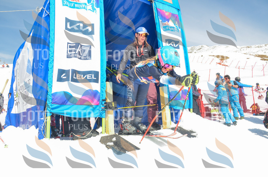 _ELE6196 | holidayphoto