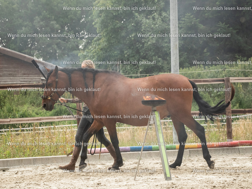 598A7190 | photographylinaismer - Realisiert mit Pictrs.com