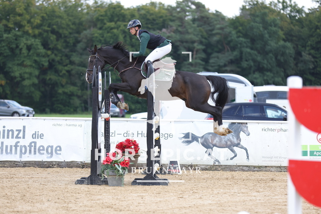 0P6A7611 | Willkommen bei Brunnmayr - Design & Fotografie – Ihrem Spezialisten für Reitturniere und Pferdeveranstaltungen in Oberösterreich, Salzburg und Bayern! Seit über 17 Jahren sind wir leidenschaftlich dabei.