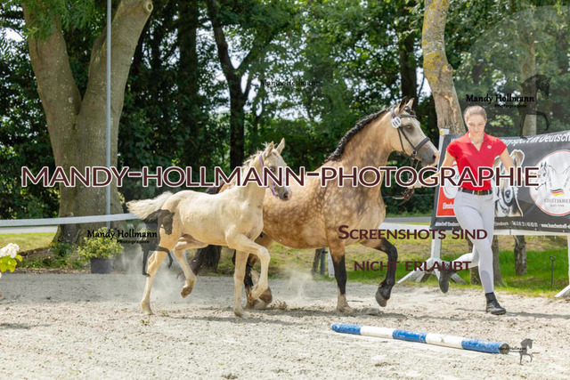 Leybucht-192 | mandyhollmannphotographie
