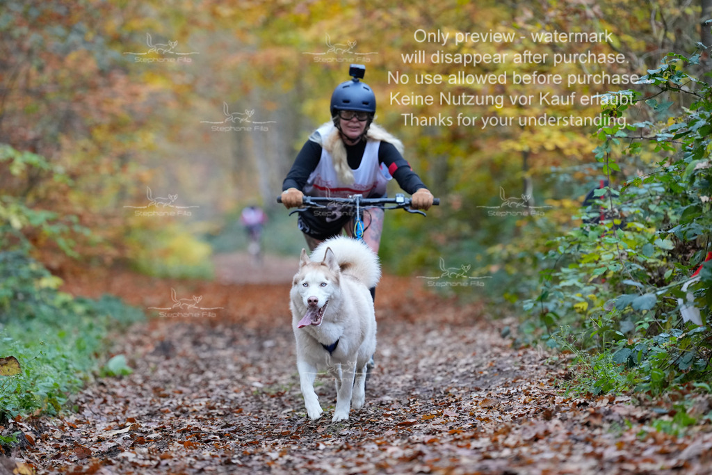 Scooter_So-97 | stephaniefillaphotographie - Realisiert mit Pictrs.com