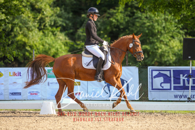 DKP43076 | Turnierfotos kaufen im Webshop von Daniel Kuhl Photography – entdecke professionelle Reitsportfotos aus Turnieren & Events. Hochwertige Turnierbilder online bestellen & sichern. Jetzt Fotos von Reitsportturnieren kaufen!
