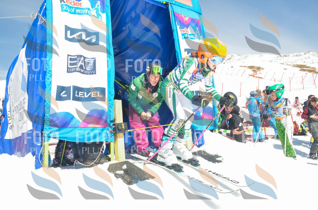 _ELE6168 | holidayphoto