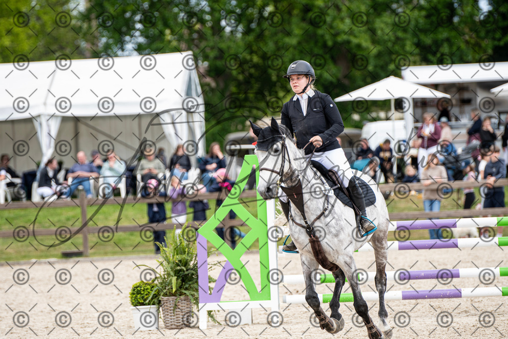 KPT_5698 | andre_photographic