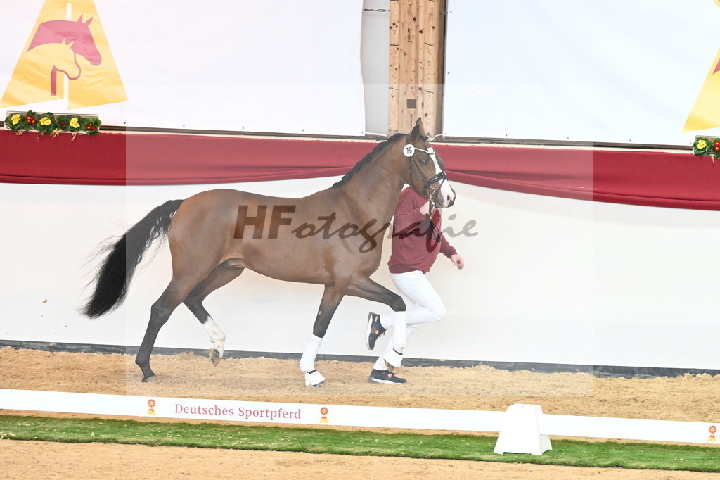 Kat.-Nr. 79 v. Valverde_Gaab_2241005 | hf-fotografie - Realisiert mit Pictrs.com