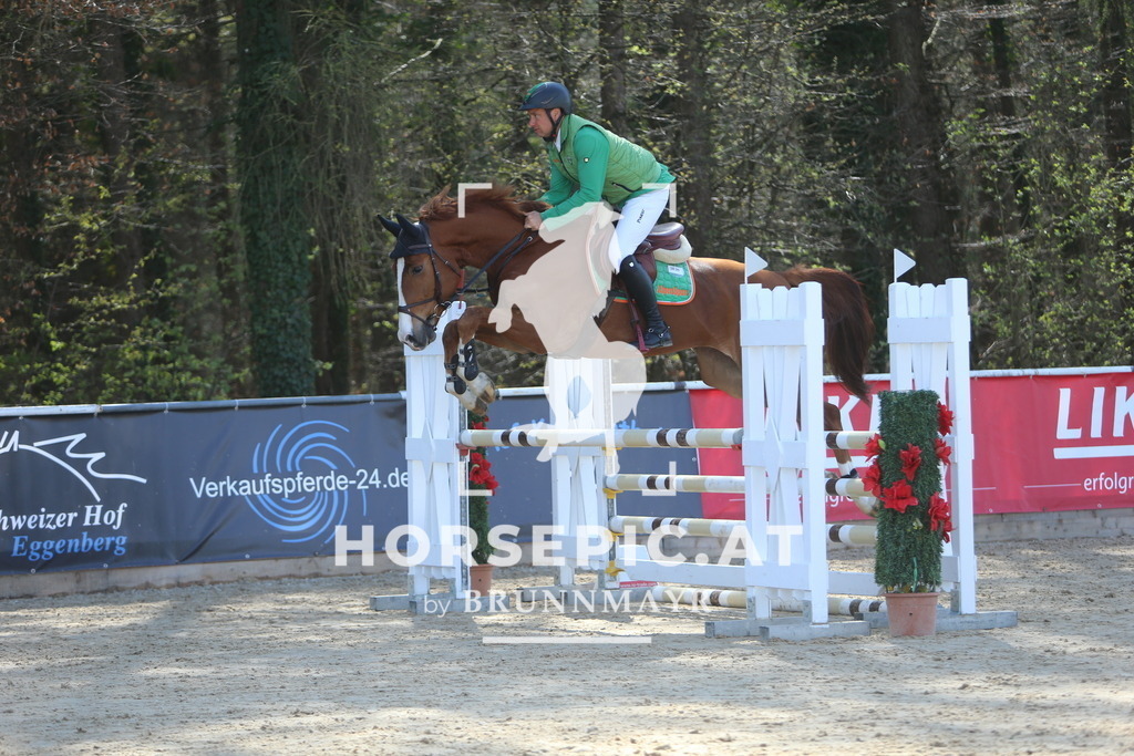 DL2Q0495 | Willkommen bei Brunnmayr - Design & Fotografie – Ihrem Spezialisten für Reitturniere und Pferdeveranstaltungen in Oberösterreich, Salzburg und Bayern! Seit über 17 Jahren sind wir leidenschaftlich dabei.